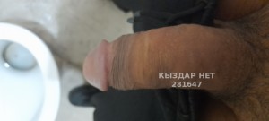 Жиголо Жаркента Анкета №281647 Фотография №2302725