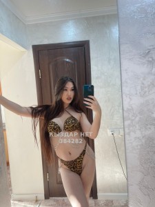 Транс Алматы Анкета №384282 Фотография №3023646