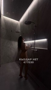 Проститутка Астаны Девушка№477030 Vip Escort Фотография №3969812