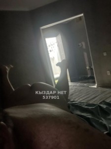 Жиголо Актобе Анкета №537901 Фотография №4026760