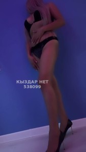 Проститутка Алматы Девушка№538099 Гаухар боди Фотография №4037640
