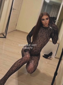 Транс Алматы Транс№540279 D-I-N-A Метиска Фотография №4112098