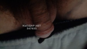 Жиголо Павлодара Анкета №547935 Фотография №4116978