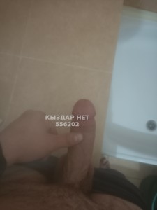 Жиголо Павлодара Парень№556202 Alexander Фотография №4200876