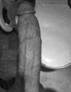Фотография №4206593